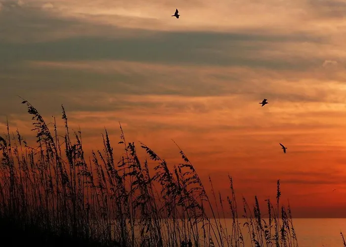 Barefoot A202 * Clearwater Beach